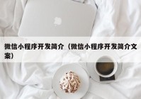 微信小程序開發(fā)簡介（微信小程序開發(fā)簡介文案）