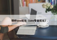 鐵嶺seo優(yōu)化（seo專業(yè)優(yōu)化）