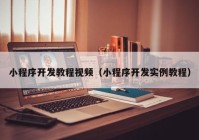 小程序開發(fā)教程視頻（小程序開發(fā)實(shí)例教程）