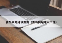 青島網(wǎng)站建設(shè)案例（青島網(wǎng)站建設(shè)工作）