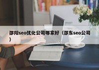 邵陽seo優(yōu)化公司哪家好（邵東seo公司）