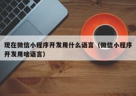 現(xiàn)在微信小程序開發(fā)用什么語言（微信小程序開發(fā)用啥語言）