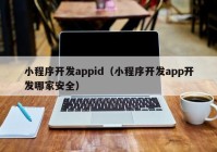 小程序開發(fā)appid（小程序開發(fā)app開發(fā)哪家安全）