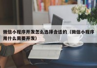 微信小程序開發(fā)怎么選擇合適的（微信小程序用什么需要開發(fā)）