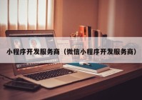 小程序開發(fā)服務(wù)商（微信小程序開發(fā)服務(wù)商）