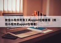 微信小程序開(kāi)發(fā)工具appid在哪里看（微信小程序的appid在哪看）