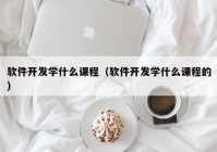 軟件開發(fā)學(xué)什么課程（軟件開發(fā)學(xué)什么課程的）