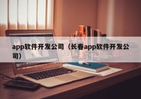 app軟件開發(fā)公司（長春app軟件開發(fā)公司）