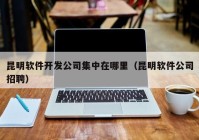 昆明軟件開發(fā)公司集中在哪里（昆明軟件公司招聘）