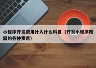 小程序開發(fā)費用計入什么科目（開發(fā)小程序所需的各種費用）