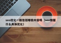 seo優(yōu)化一般包括哪些內(nèi)容呀（seo根據(jù)什么具體優(yōu)化）