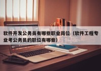 軟件開發(fā)公務(wù)員有哪些職業(yè)崗位（軟件工程專業(yè)考公務(wù)員的職位有哪些）