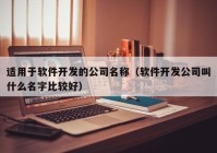 適用于軟件開發(fā)的公司名稱（軟件開發(fā)公司叫什么名字比較好）