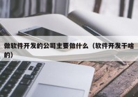 做軟件開發(fā)的公司主要做什么（軟件開發(fā)干啥的）