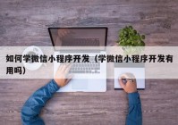 如何學微信小程序開發(fā)（學微信小程序開發(fā)有用嗎）