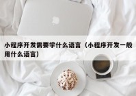 小程序開發(fā)需要學什么語言（小程序開發(fā)一般用什么語言）